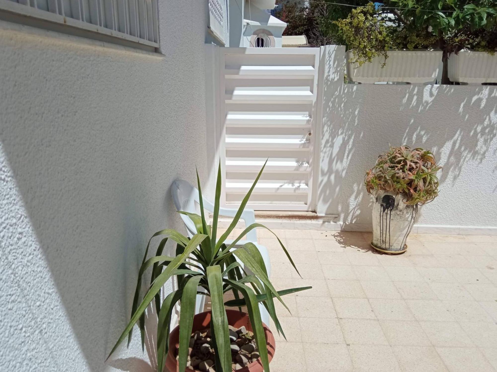 Appartements De Luxe Pres De La Mer 纳布勒 外观 照片